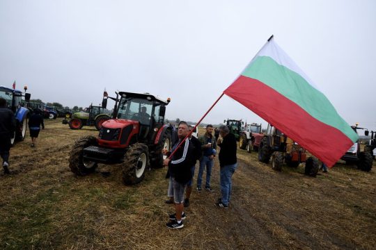agrotes bulgaria